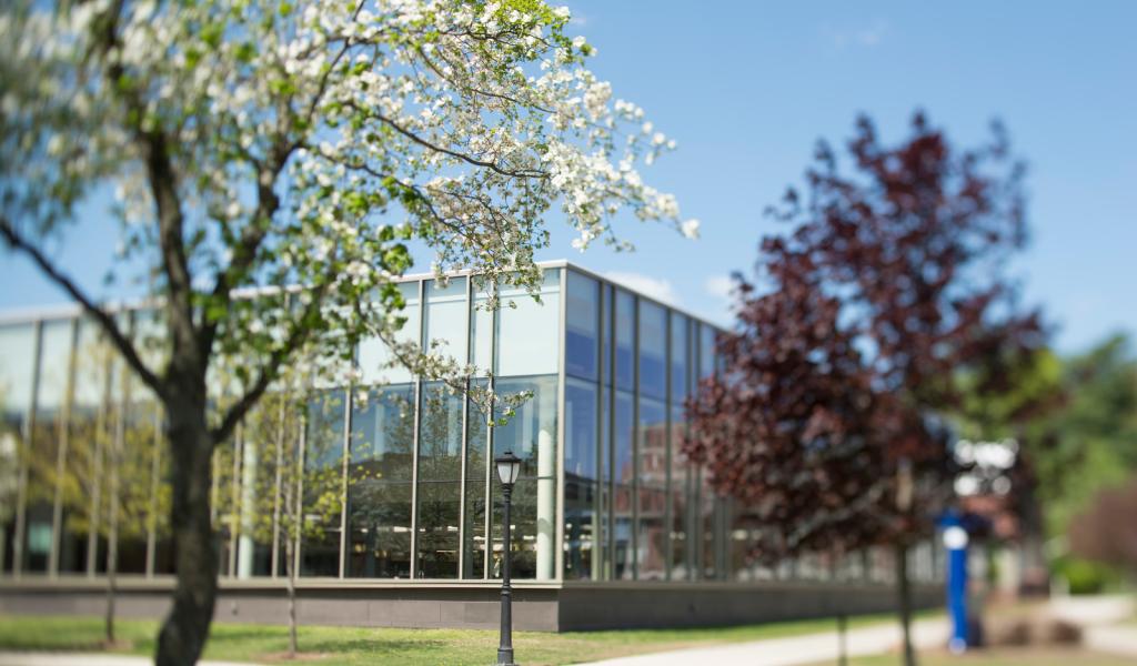 Picture of Dining Commons through trees