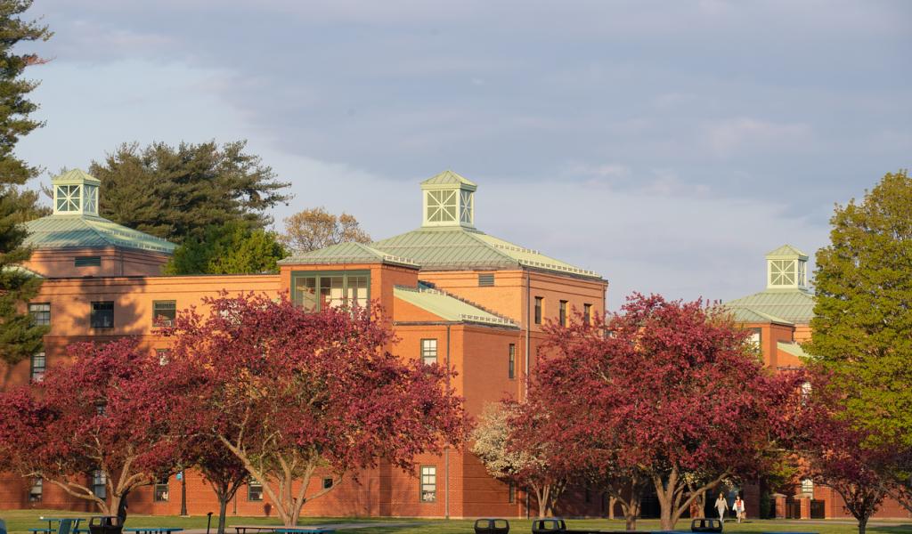 Campus in the spring