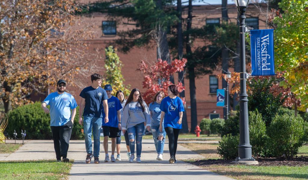 Six students walking together on campus with WSU banner on light pole. Students are all wearing WSU shirts.