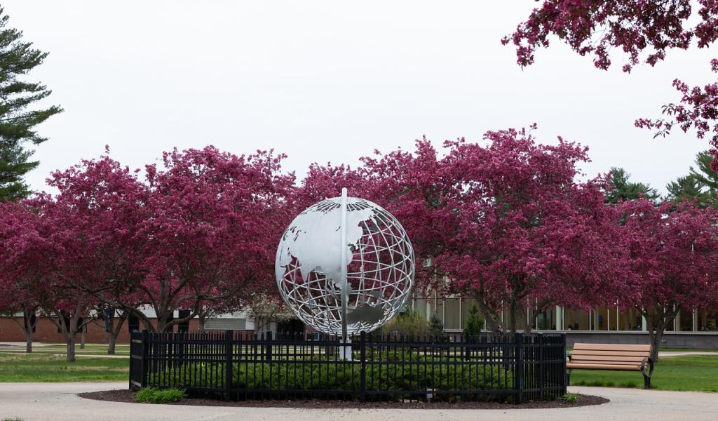 Westfield State campus globe surrounded by pink flowering trees.