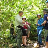 Students stand in a green forest and listen to their guide talk about the wildlife.