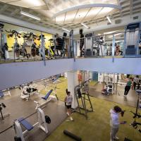 A shot of the Ely Fitness Center, shot from halfway on the staircase leading up and down. White cardio machines are stacked in a row on the upstairs portion of the room with white benches down below for weight lifting.