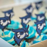 Blue frosted cupcakes with Nestor owl accents on top.