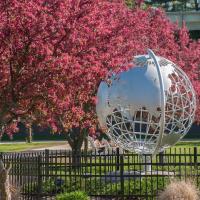 A photo of the silver, campus globe. Trees bud beside it, sprouting pink flowers. Green grass is behind the globe, and a black wrought-iron fence surrounds it.