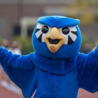 A photo of Nestor the Owl with his hands raised in celebration for the 2024 Family Weekend event! 
